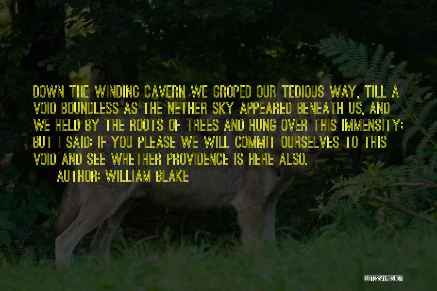 William Blake Quotes: Down The Winding Cavern We Groped Our Tedious Way, Till A Void Boundless As The Nether Sky Appeared Beneath Us,