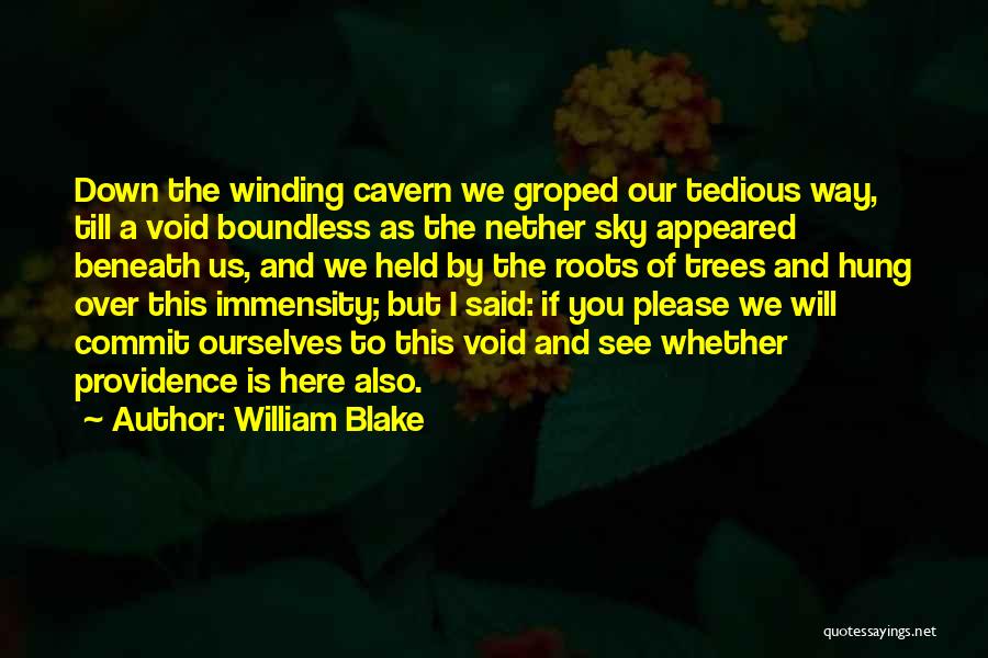 William Blake Quotes: Down The Winding Cavern We Groped Our Tedious Way, Till A Void Boundless As The Nether Sky Appeared Beneath Us,