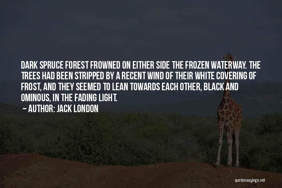 Jack London Quotes: Dark Spruce Forest Frowned On Either Side The Frozen Waterway. The Trees Had Been Stripped By A Recent Wind Of