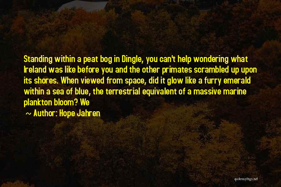 Hope Jahren Quotes: Standing Within A Peat Bog In Dingle, You Can't Help Wondering What Ireland Was Like Before You And The Other