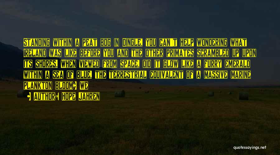 Hope Jahren Quotes: Standing Within A Peat Bog In Dingle, You Can't Help Wondering What Ireland Was Like Before You And The Other