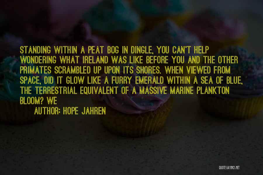 Hope Jahren Quotes: Standing Within A Peat Bog In Dingle, You Can't Help Wondering What Ireland Was Like Before You And The Other