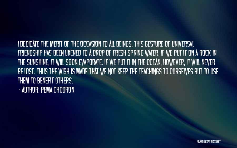 Pema Chodron Quotes: I Dedicate The Merit Of The Occasion To All Beings. This Gesture Of Universal Friendship Has Been Likened To A