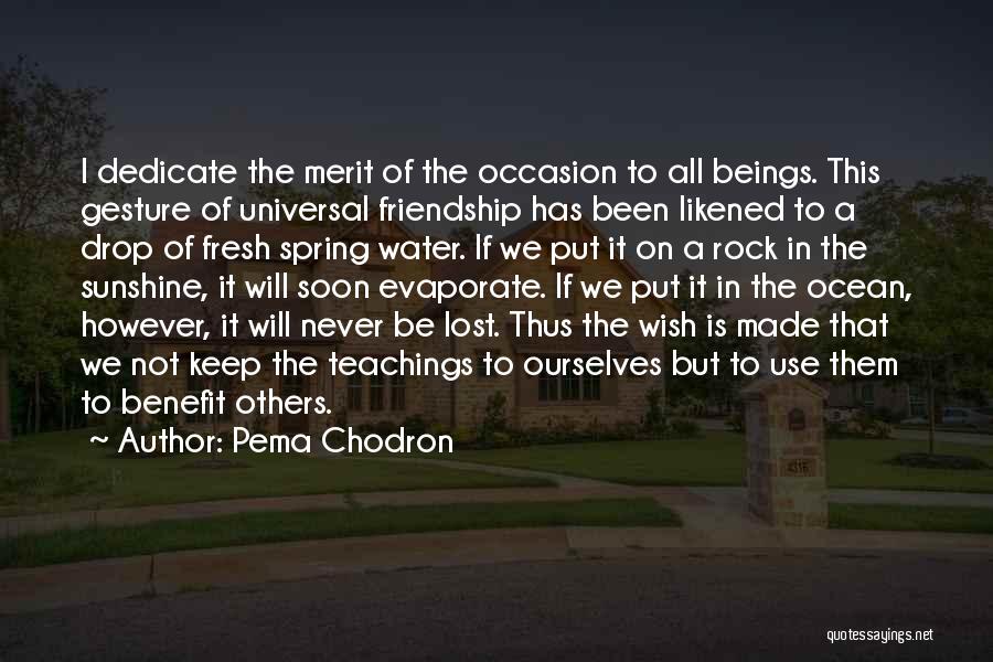 Pema Chodron Quotes: I Dedicate The Merit Of The Occasion To All Beings. This Gesture Of Universal Friendship Has Been Likened To A