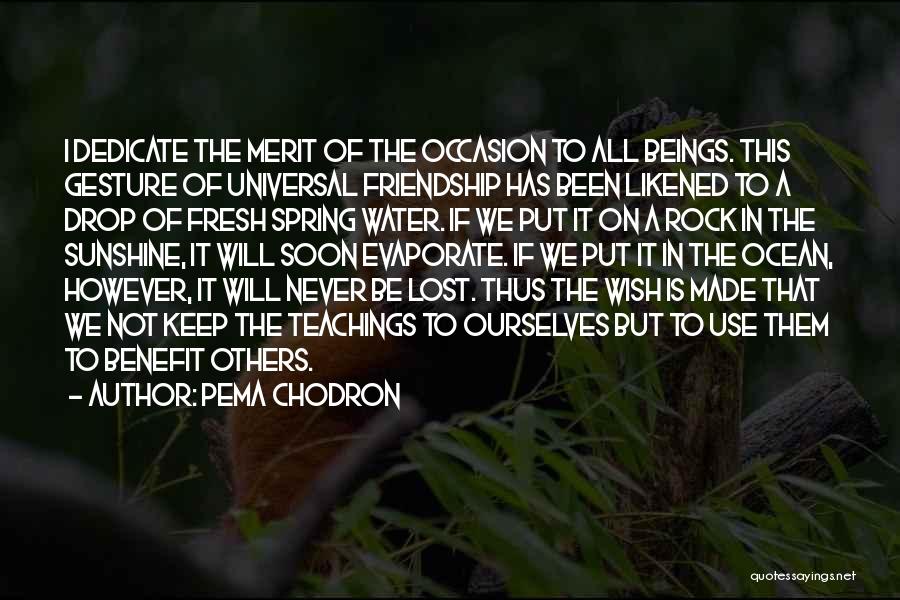 Pema Chodron Quotes: I Dedicate The Merit Of The Occasion To All Beings. This Gesture Of Universal Friendship Has Been Likened To A