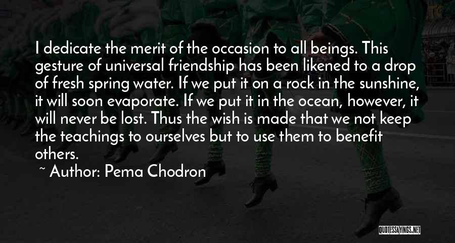 Pema Chodron Quotes: I Dedicate The Merit Of The Occasion To All Beings. This Gesture Of Universal Friendship Has Been Likened To A