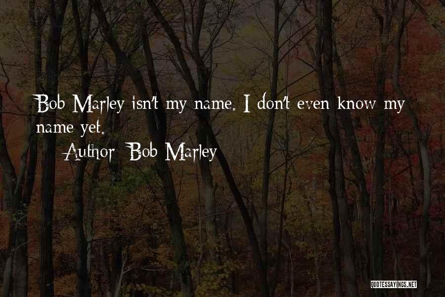 Bob Marley Quotes: Bob Marley Isn't My Name. I Don't Even Know My Name Yet.