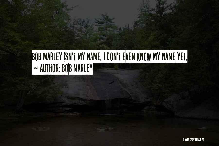 Bob Marley Quotes: Bob Marley Isn't My Name. I Don't Even Know My Name Yet.