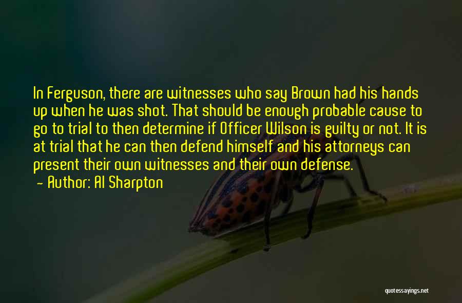 Al Sharpton Quotes: In Ferguson, There Are Witnesses Who Say Brown Had His Hands Up When He Was Shot. That Should Be Enough