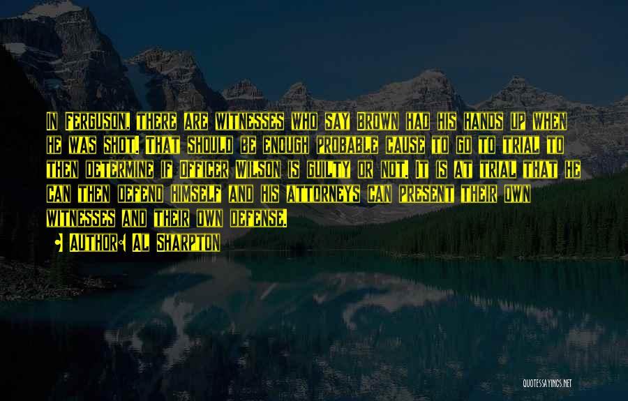 Al Sharpton Quotes: In Ferguson, There Are Witnesses Who Say Brown Had His Hands Up When He Was Shot. That Should Be Enough