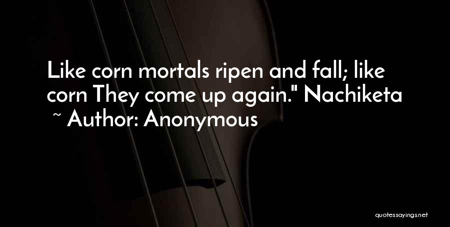 Anonymous Quotes: Like Corn Mortals Ripen And Fall; Like Corn They Come Up Again. Nachiketa