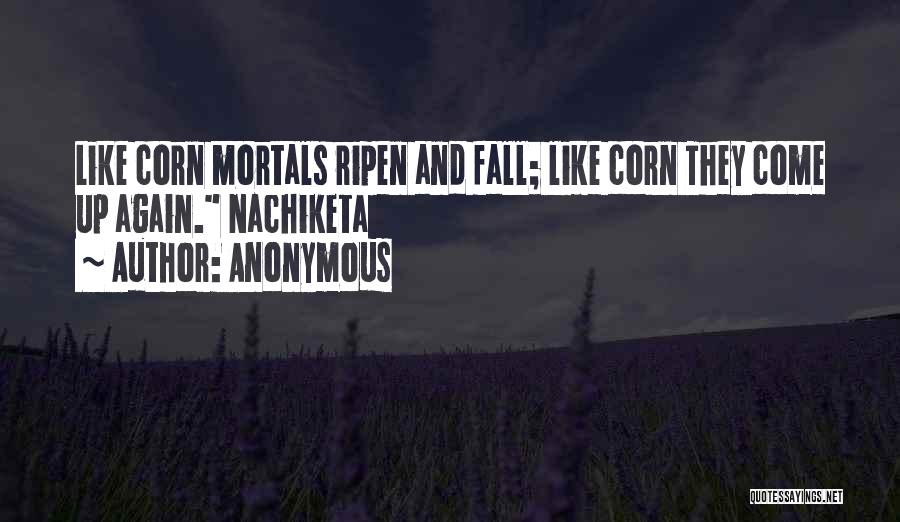 Anonymous Quotes: Like Corn Mortals Ripen And Fall; Like Corn They Come Up Again. Nachiketa