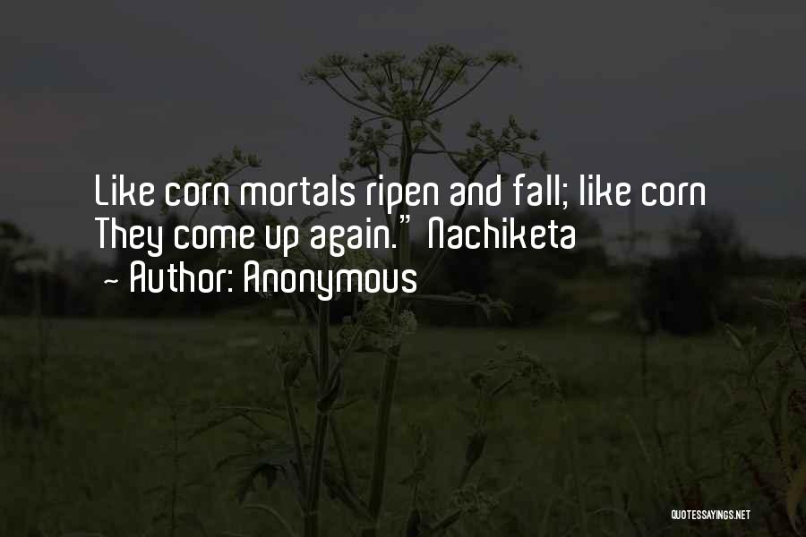 Anonymous Quotes: Like Corn Mortals Ripen And Fall; Like Corn They Come Up Again. Nachiketa