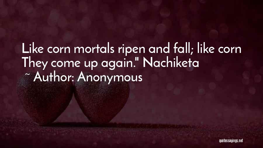 Anonymous Quotes: Like Corn Mortals Ripen And Fall; Like Corn They Come Up Again. Nachiketa