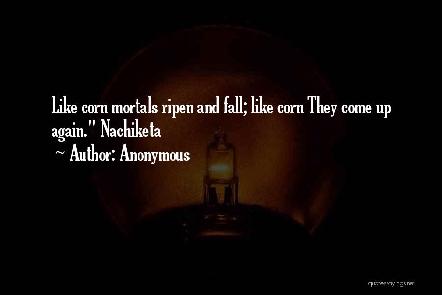Anonymous Quotes: Like Corn Mortals Ripen And Fall; Like Corn They Come Up Again. Nachiketa