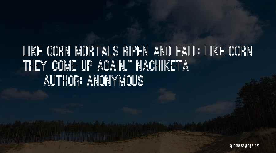 Anonymous Quotes: Like Corn Mortals Ripen And Fall; Like Corn They Come Up Again. Nachiketa