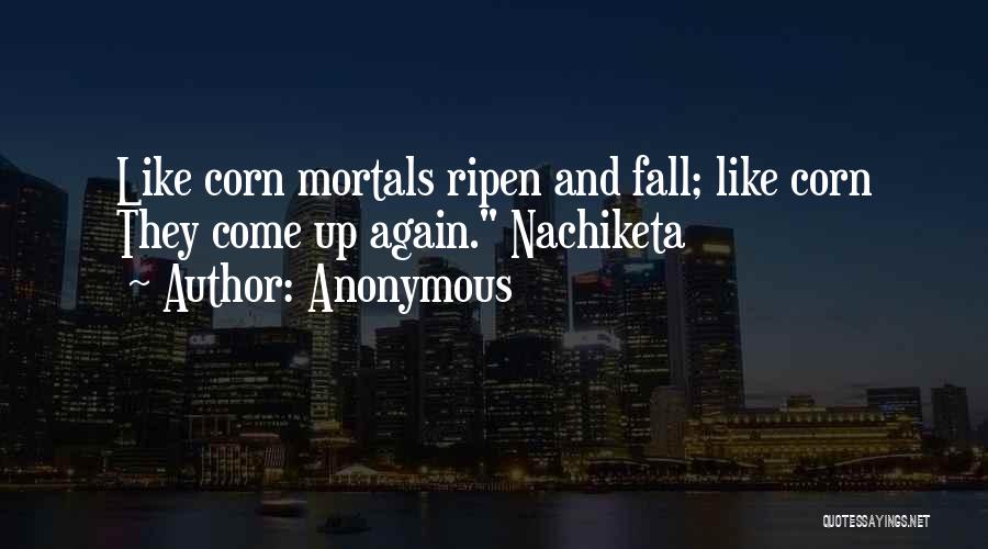 Anonymous Quotes: Like Corn Mortals Ripen And Fall; Like Corn They Come Up Again. Nachiketa