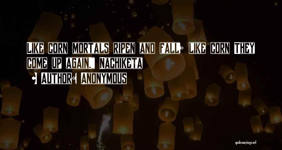 Anonymous Quotes: Like Corn Mortals Ripen And Fall; Like Corn They Come Up Again. Nachiketa