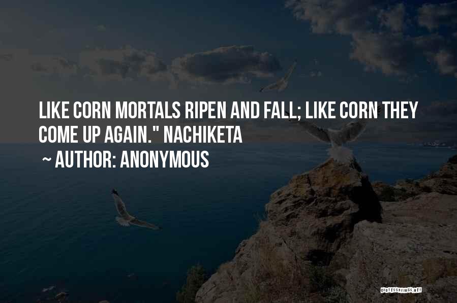 Anonymous Quotes: Like Corn Mortals Ripen And Fall; Like Corn They Come Up Again. Nachiketa