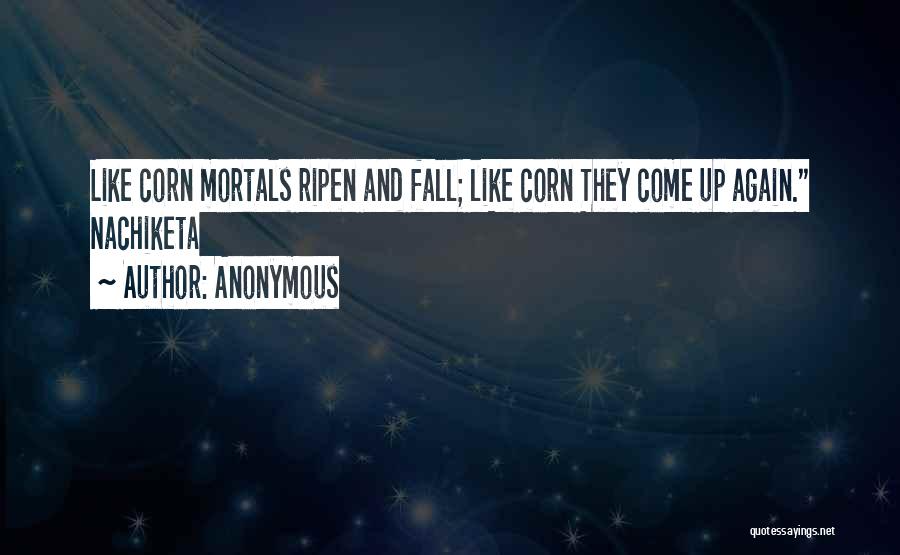 Anonymous Quotes: Like Corn Mortals Ripen And Fall; Like Corn They Come Up Again. Nachiketa