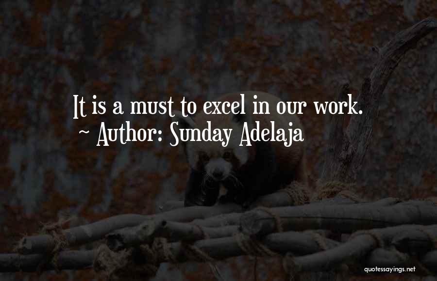 Sunday Adelaja Quotes: It Is A Must To Excel In Our Work.