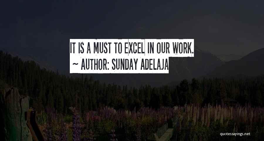 Sunday Adelaja Quotes: It Is A Must To Excel In Our Work.