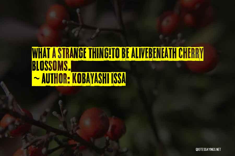 Kobayashi Issa Quotes: What A Strange Thing!to Be Alivebeneath Cherry Blossoms.