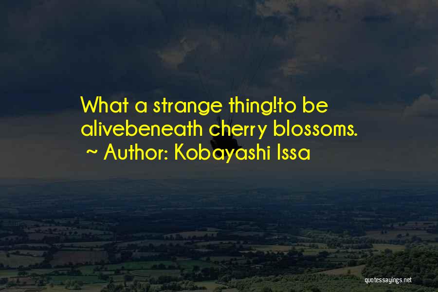 Kobayashi Issa Quotes: What A Strange Thing!to Be Alivebeneath Cherry Blossoms.
