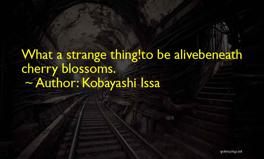Kobayashi Issa Quotes: What A Strange Thing!to Be Alivebeneath Cherry Blossoms.