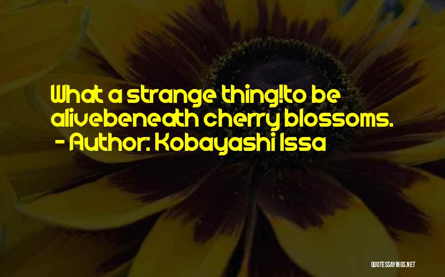 Kobayashi Issa Quotes: What A Strange Thing!to Be Alivebeneath Cherry Blossoms.