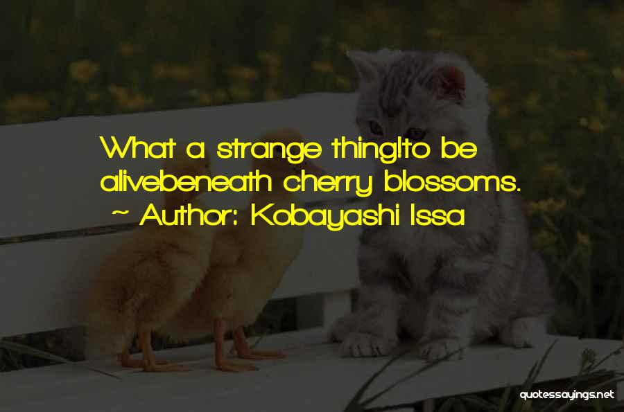 Kobayashi Issa Quotes: What A Strange Thing!to Be Alivebeneath Cherry Blossoms.