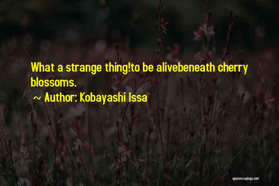 Kobayashi Issa Quotes: What A Strange Thing!to Be Alivebeneath Cherry Blossoms.