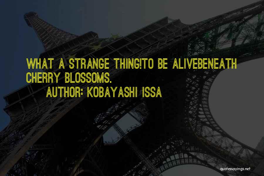 Kobayashi Issa Quotes: What A Strange Thing!to Be Alivebeneath Cherry Blossoms.