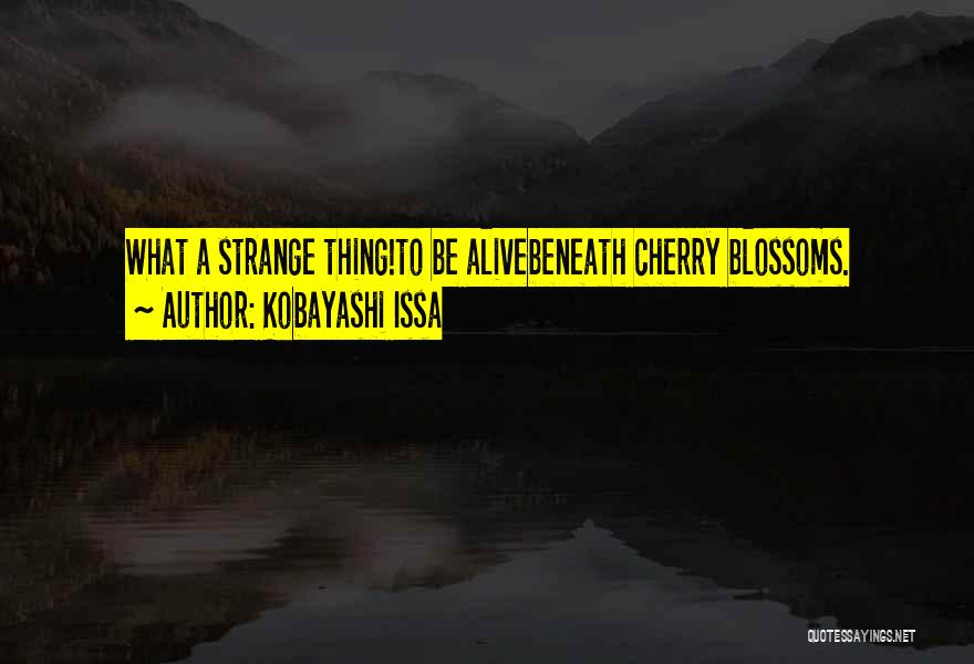 Kobayashi Issa Quotes: What A Strange Thing!to Be Alivebeneath Cherry Blossoms.