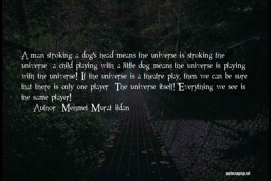 Mehmet Murat Ildan Quotes: A Man Stroking A Dog's Head Means The Universe Is Stroking The Universe; A Child Playing With A Little Dog