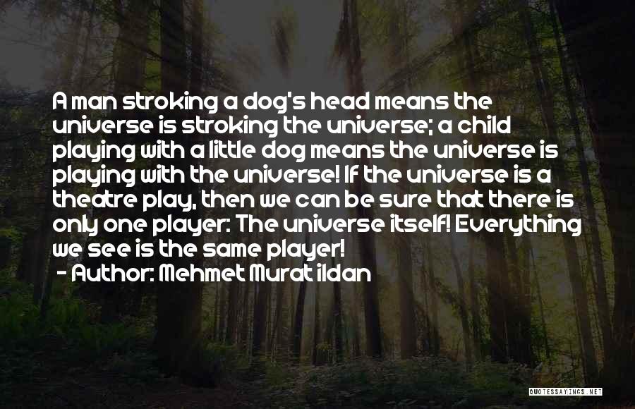 Mehmet Murat Ildan Quotes: A Man Stroking A Dog's Head Means The Universe Is Stroking The Universe; A Child Playing With A Little Dog