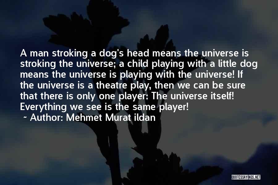 Mehmet Murat Ildan Quotes: A Man Stroking A Dog's Head Means The Universe Is Stroking The Universe; A Child Playing With A Little Dog