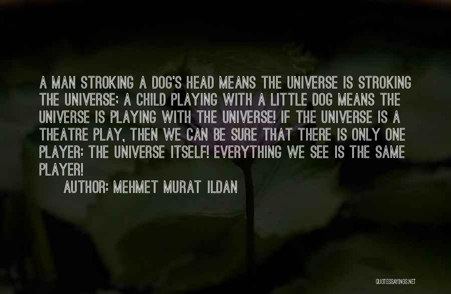 Mehmet Murat Ildan Quotes: A Man Stroking A Dog's Head Means The Universe Is Stroking The Universe; A Child Playing With A Little Dog