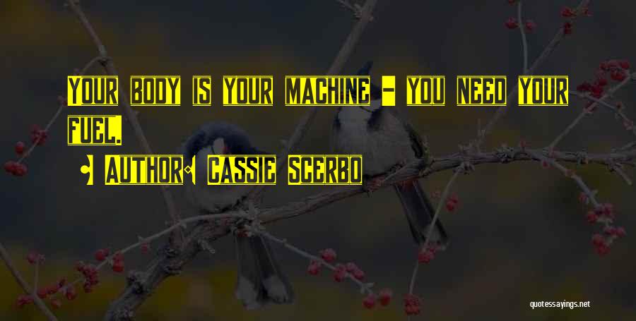 Cassie Scerbo Quotes: Your Body Is Your Machine - You Need Your Fuel.