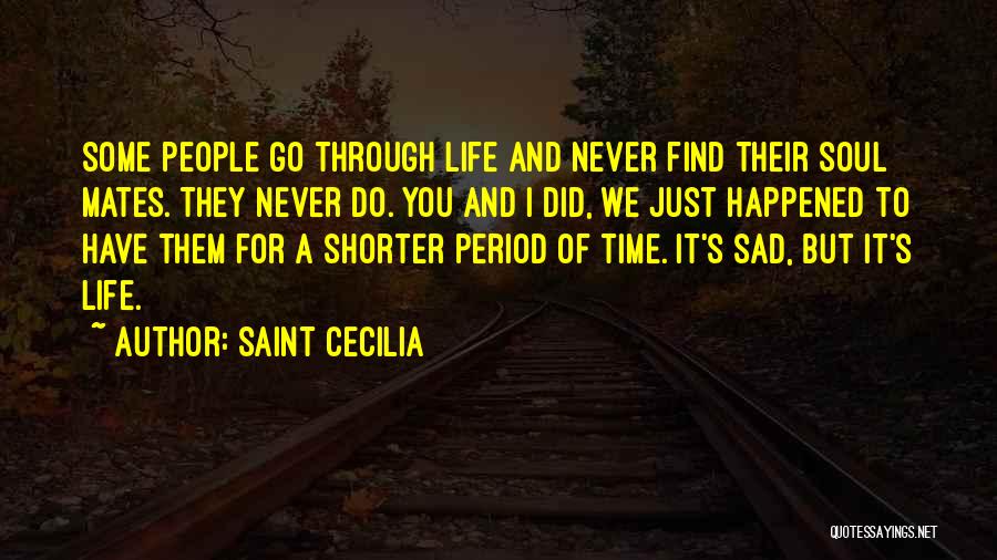 Saint Cecilia Quotes: Some People Go Through Life And Never Find Their Soul Mates. They Never Do. You And I Did, We Just