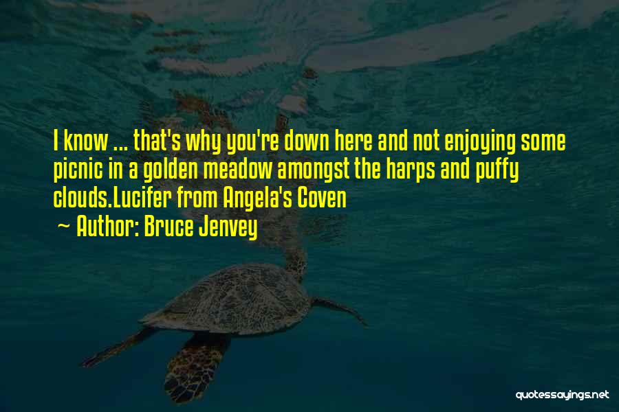 Bruce Jenvey Quotes: I Know ... That's Why You're Down Here And Not Enjoying Some Picnic In A Golden Meadow Amongst The Harps