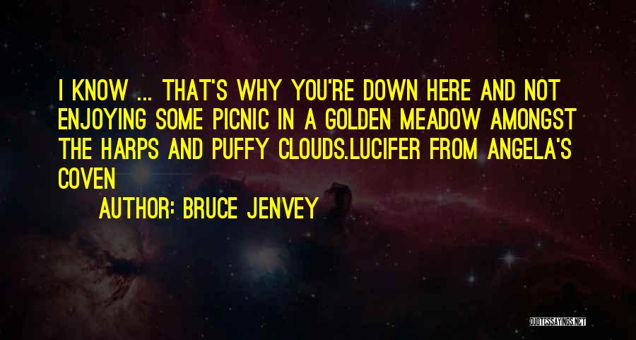Bruce Jenvey Quotes: I Know ... That's Why You're Down Here And Not Enjoying Some Picnic In A Golden Meadow Amongst The Harps