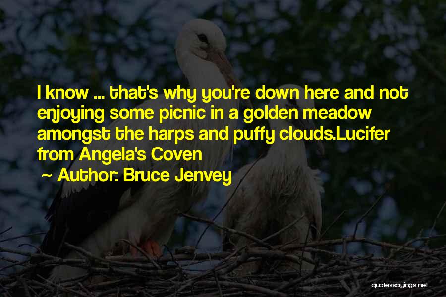 Bruce Jenvey Quotes: I Know ... That's Why You're Down Here And Not Enjoying Some Picnic In A Golden Meadow Amongst The Harps