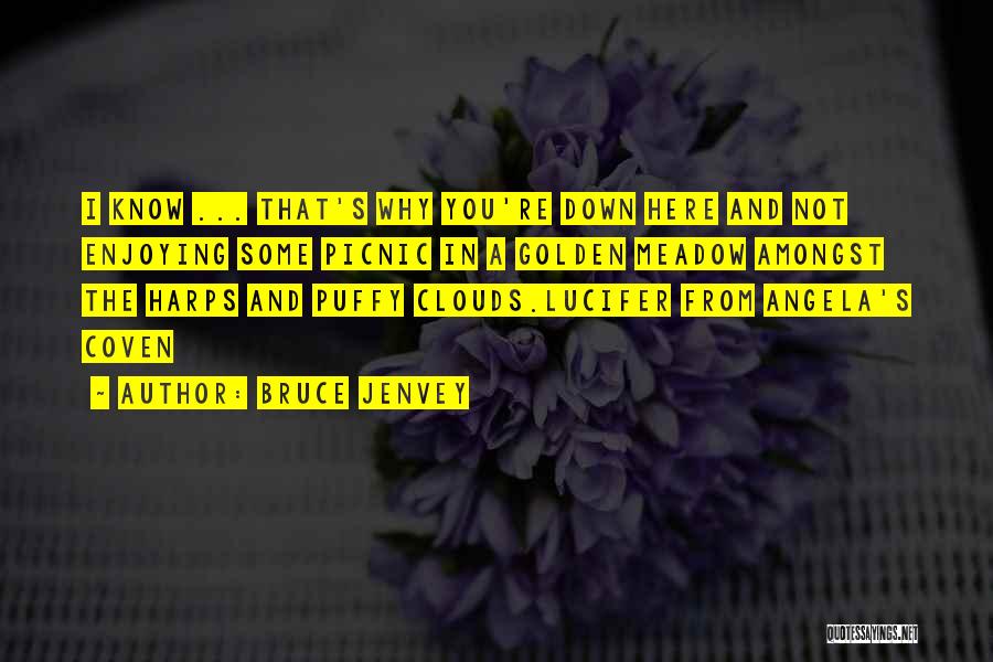 Bruce Jenvey Quotes: I Know ... That's Why You're Down Here And Not Enjoying Some Picnic In A Golden Meadow Amongst The Harps