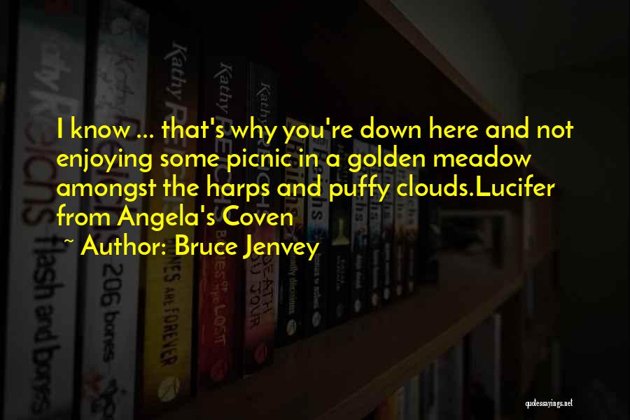 Bruce Jenvey Quotes: I Know ... That's Why You're Down Here And Not Enjoying Some Picnic In A Golden Meadow Amongst The Harps