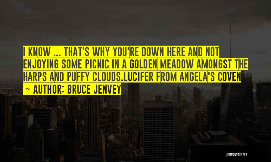 Bruce Jenvey Quotes: I Know ... That's Why You're Down Here And Not Enjoying Some Picnic In A Golden Meadow Amongst The Harps