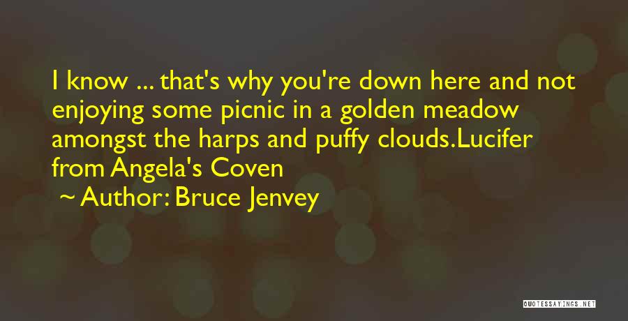 Bruce Jenvey Quotes: I Know ... That's Why You're Down Here And Not Enjoying Some Picnic In A Golden Meadow Amongst The Harps