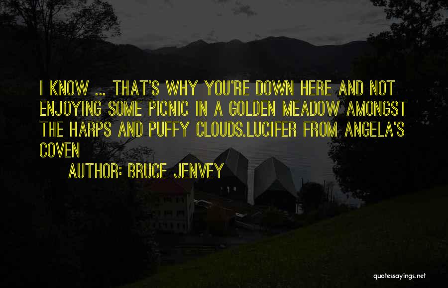 Bruce Jenvey Quotes: I Know ... That's Why You're Down Here And Not Enjoying Some Picnic In A Golden Meadow Amongst The Harps