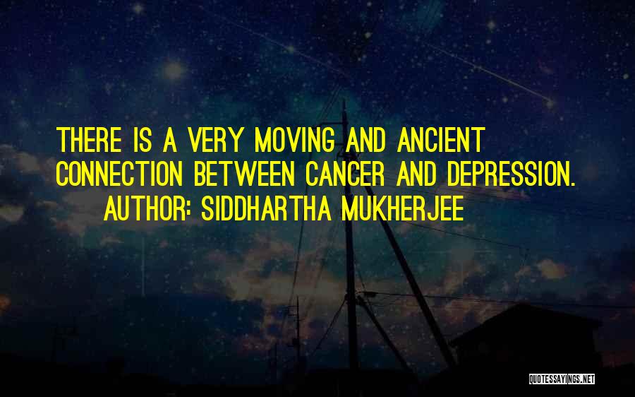 Siddhartha Mukherjee Quotes: There Is A Very Moving And Ancient Connection Between Cancer And Depression.