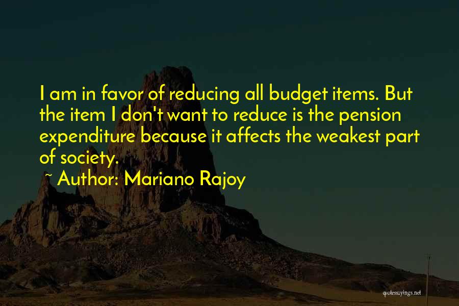 Mariano Rajoy Quotes: I Am In Favor Of Reducing All Budget Items. But The Item I Don't Want To Reduce Is The Pension